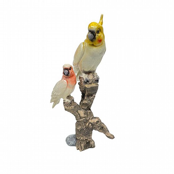 ��� ����