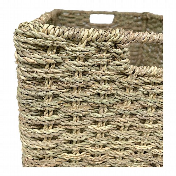 ����� ����� ������ �� Seagrass �� ����� ������